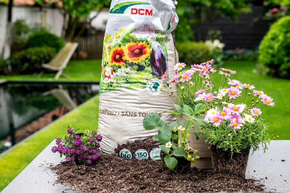 DCM foto tuin potgrond