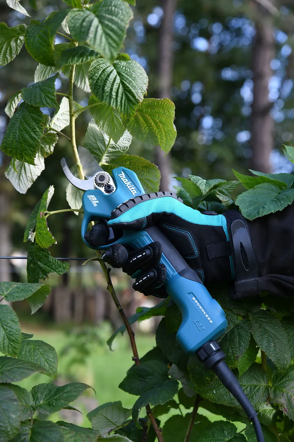 Accusnoeischaar Makita