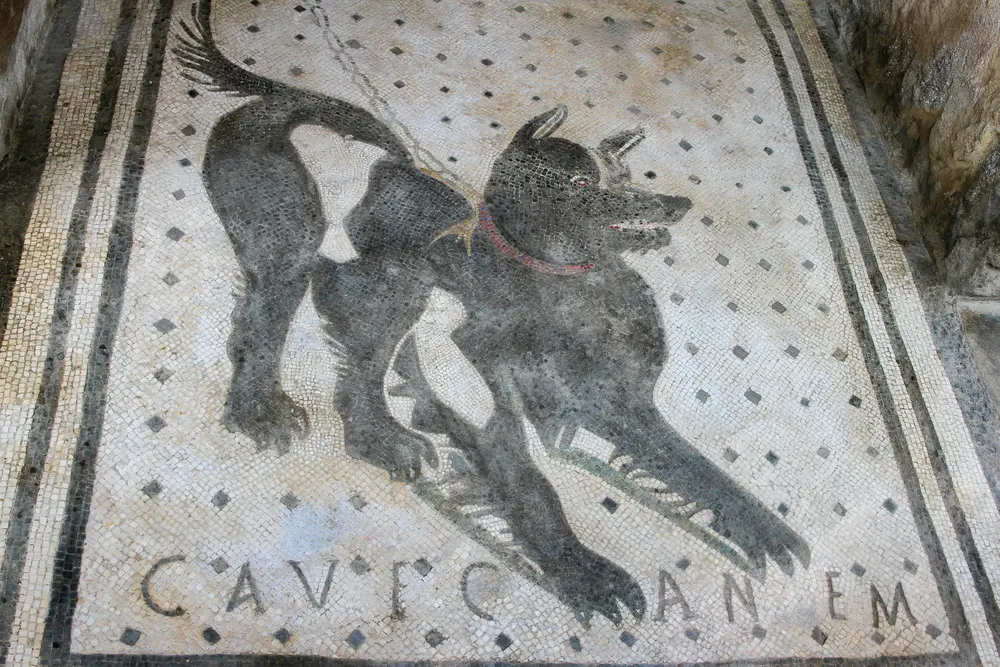 Mozaiek Cave Canem