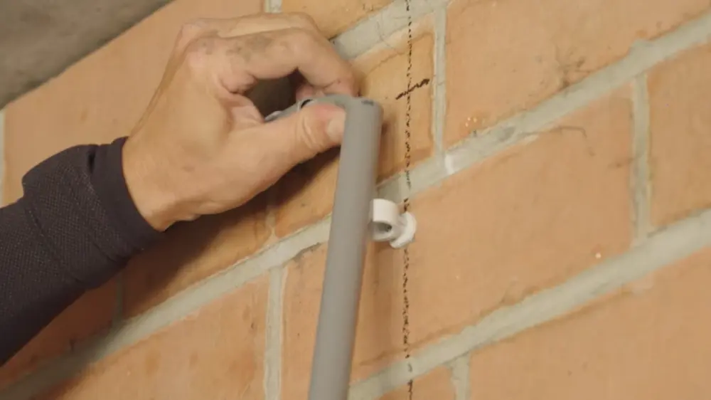 buizen in clips klikken