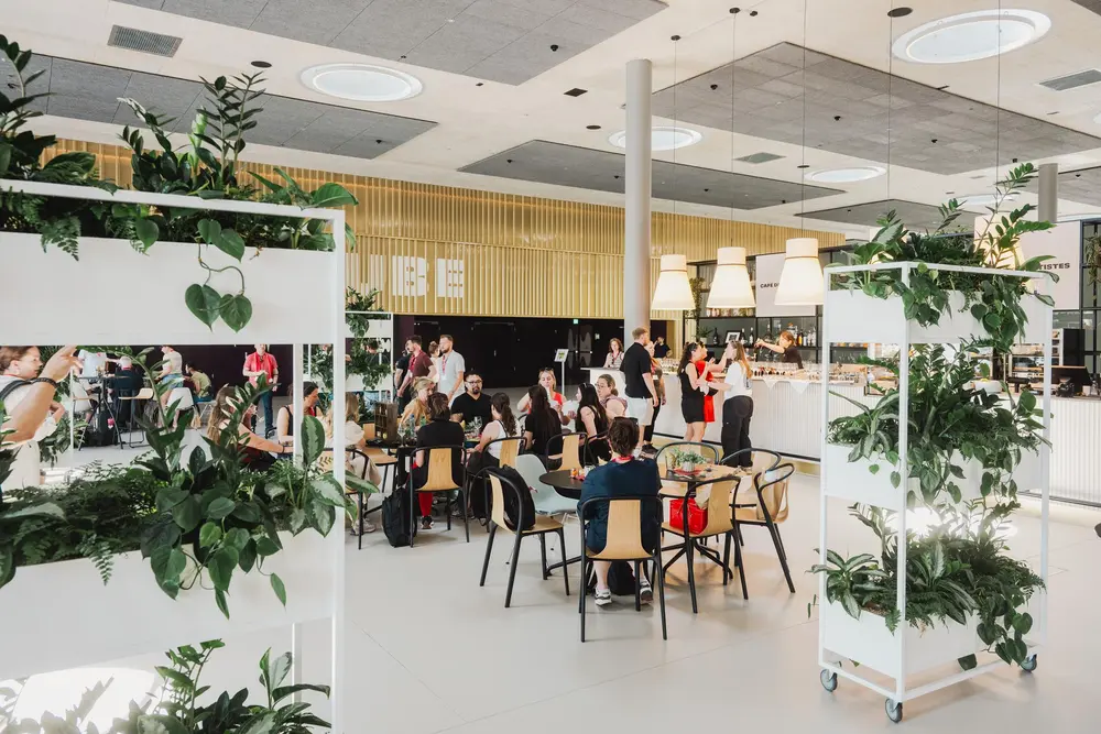 festhalle zwitserland