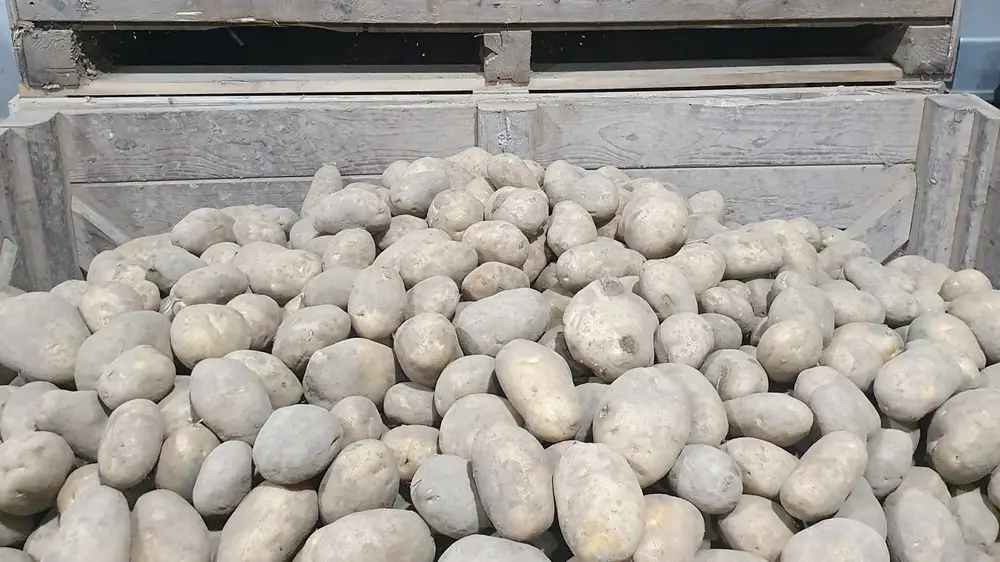 Aardappelen GRS
