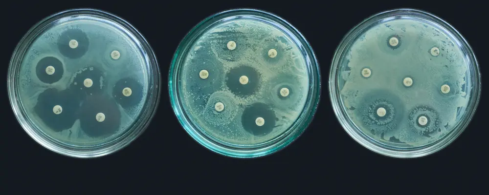 ARM AMR résistance aux antibiotiques antimicrobienne antimicrobial resistance bactérie
