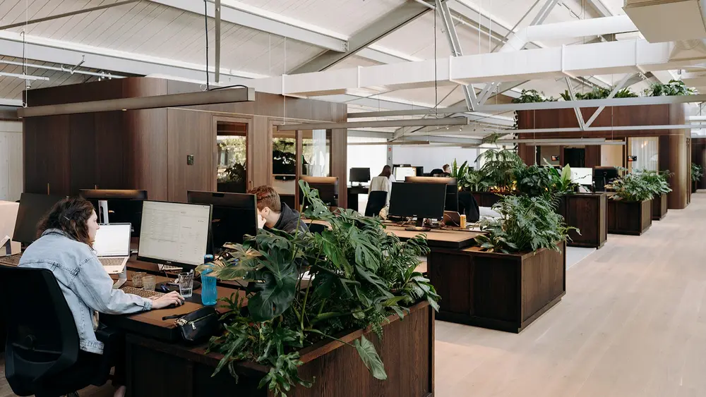 Tomorrowland kantoor 1