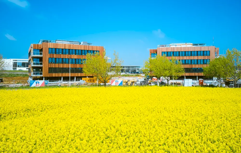 Paulussen Houthandel – Turnhout