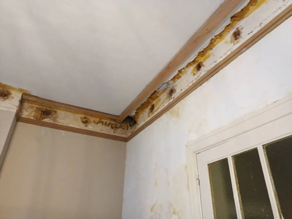 Herenhuis in Jambes10