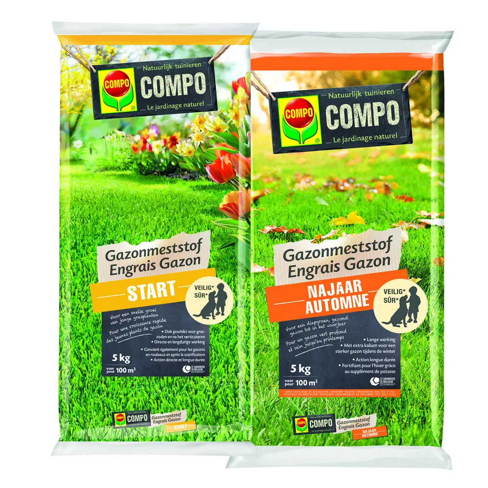 compo