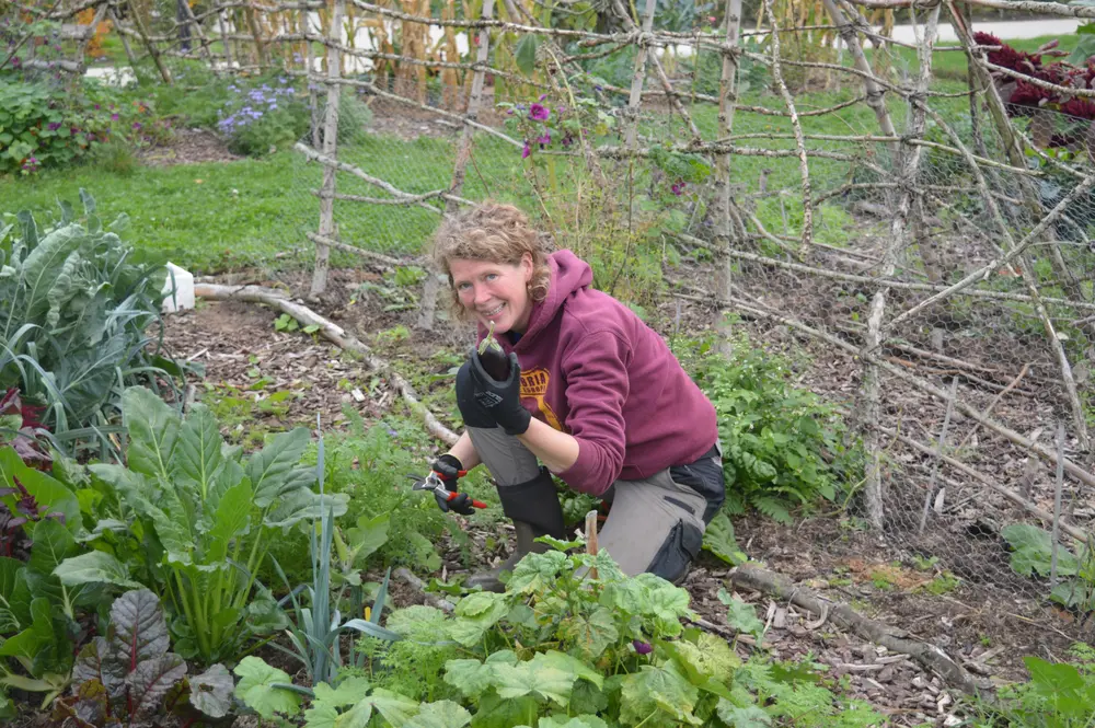 Voedselbos  PPC Pittem