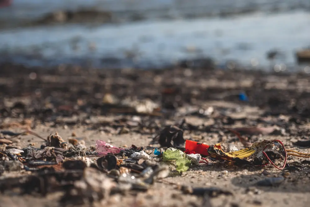 Microplastics Dialogue Day