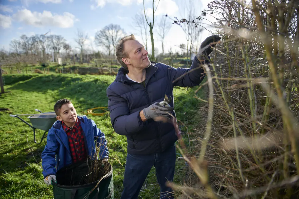Snoeien in de winter