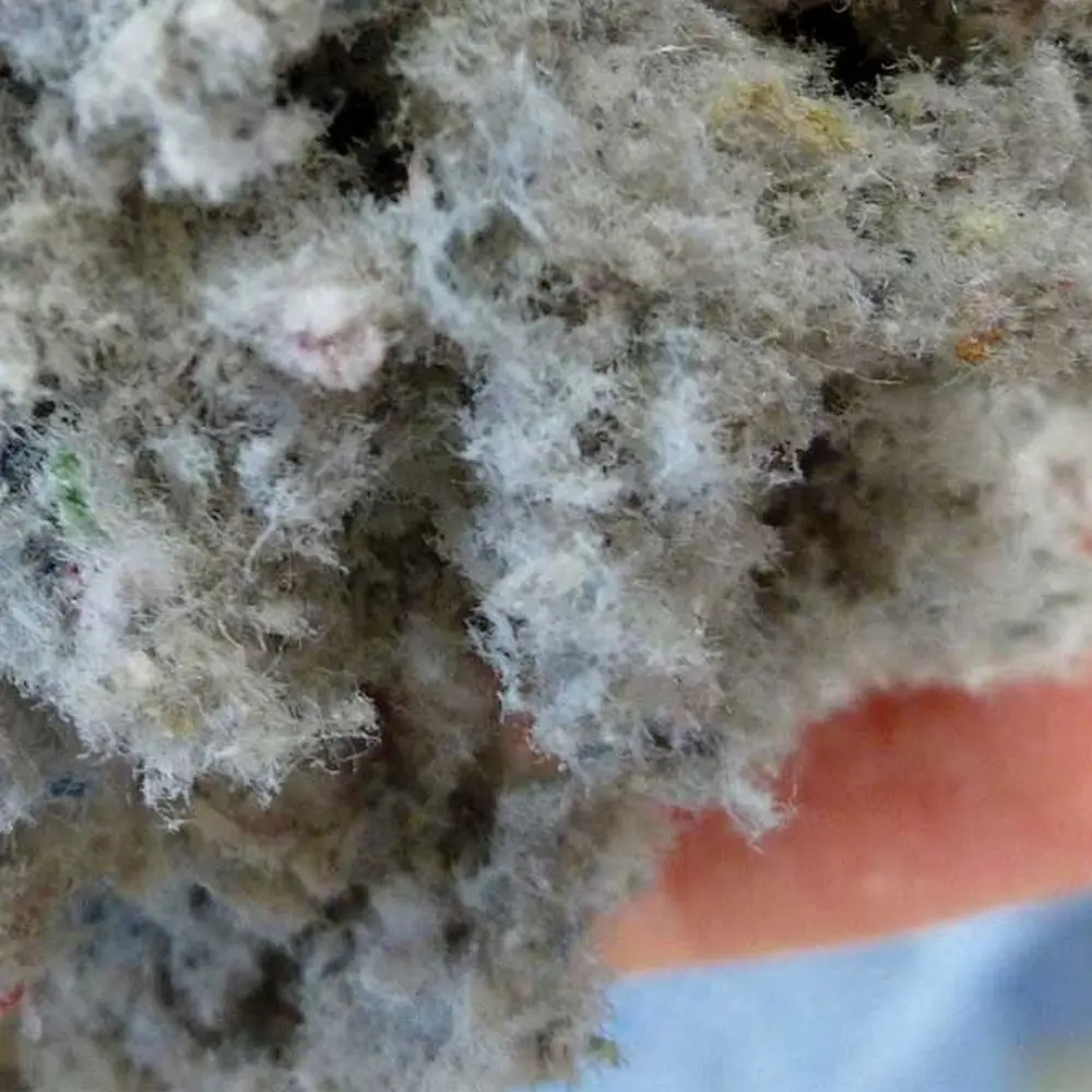 Isoproc cellulose natuurlijke isolatie