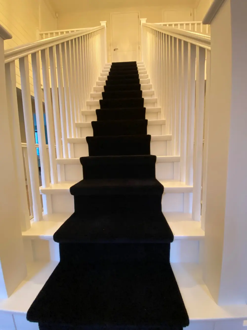 trap premium painting