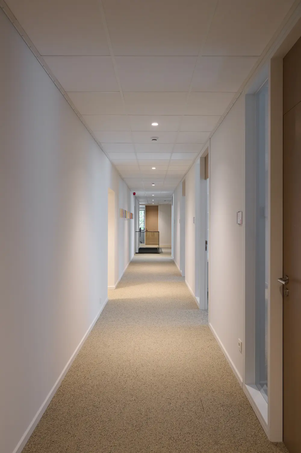 Algemene Onderneming Driesen - Pelt