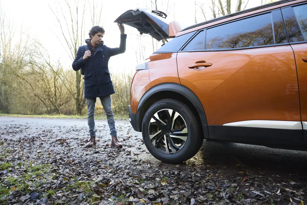 Vierseizoensbanden rukken verder op in België