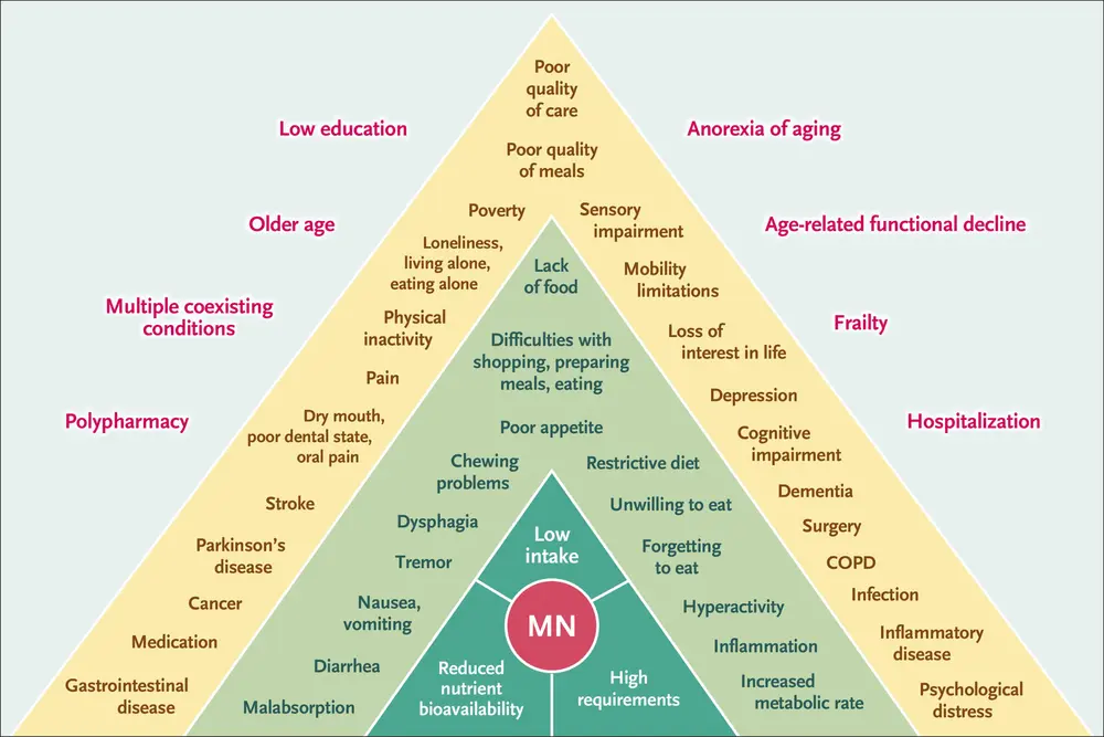 Determinants of Malnutrition in Aged Persons