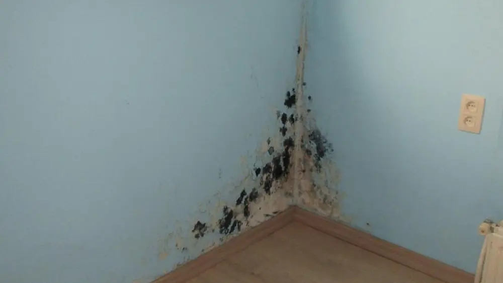 condensatie bij aansluiting muren