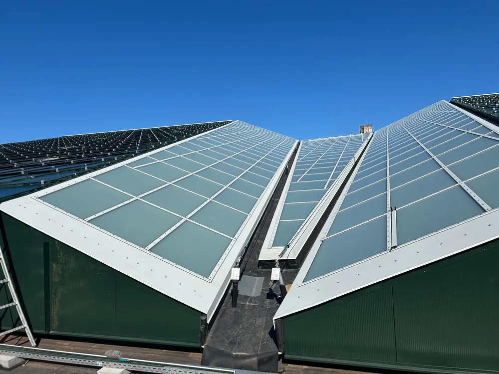 GlassProjects, Ninove