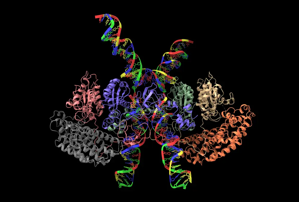 Structure cryo-EM de type 1 (HTLV-1) du virus de la leucémie à cellule T humaine - Photos