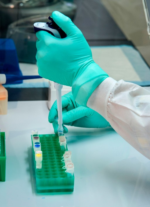 Polio Hambourg Allemagne