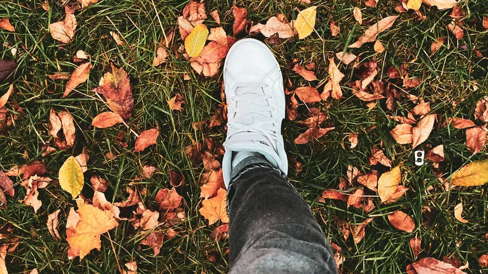 Shoes Barometer oktober