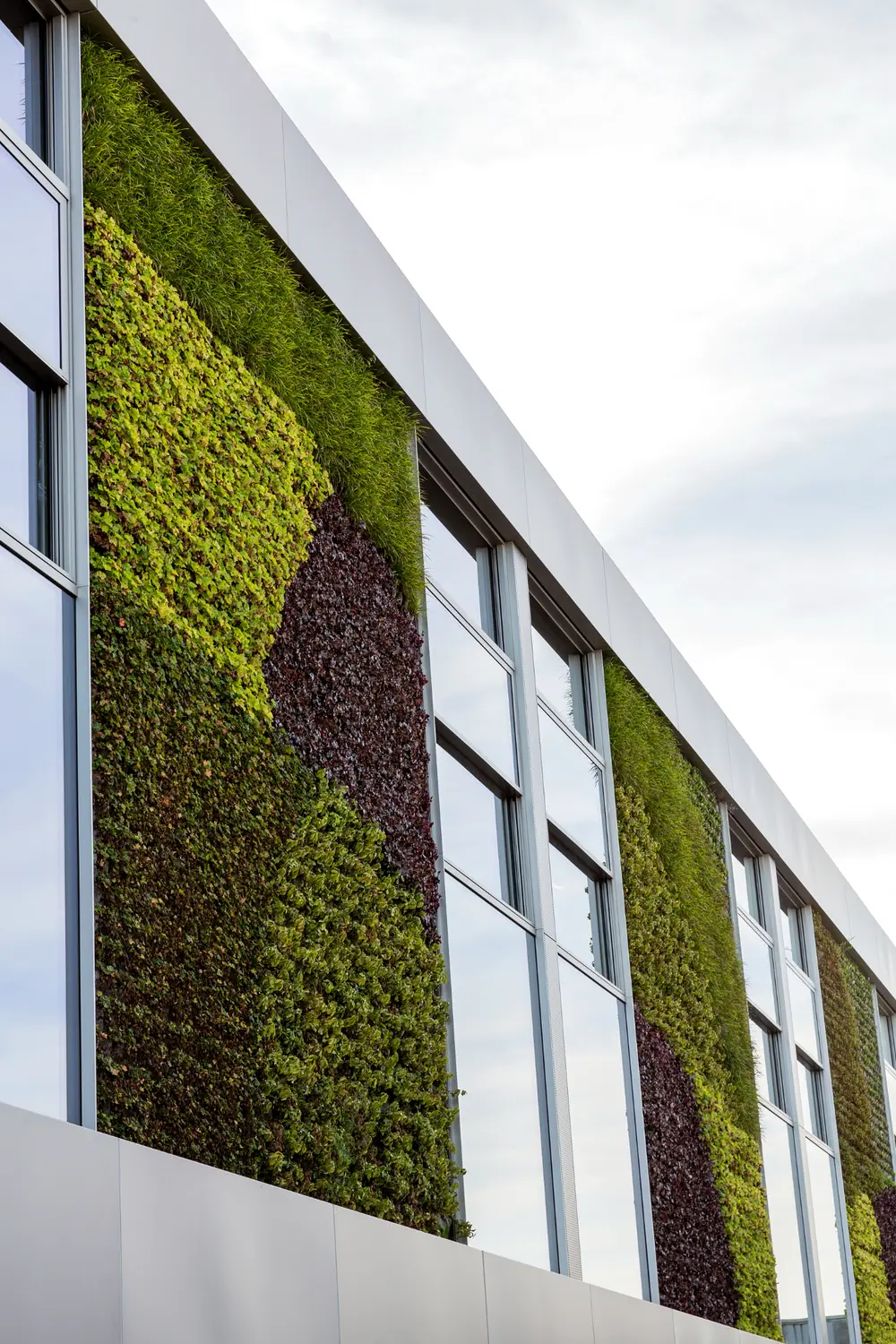 Vorsselmans (Loenhout) 7