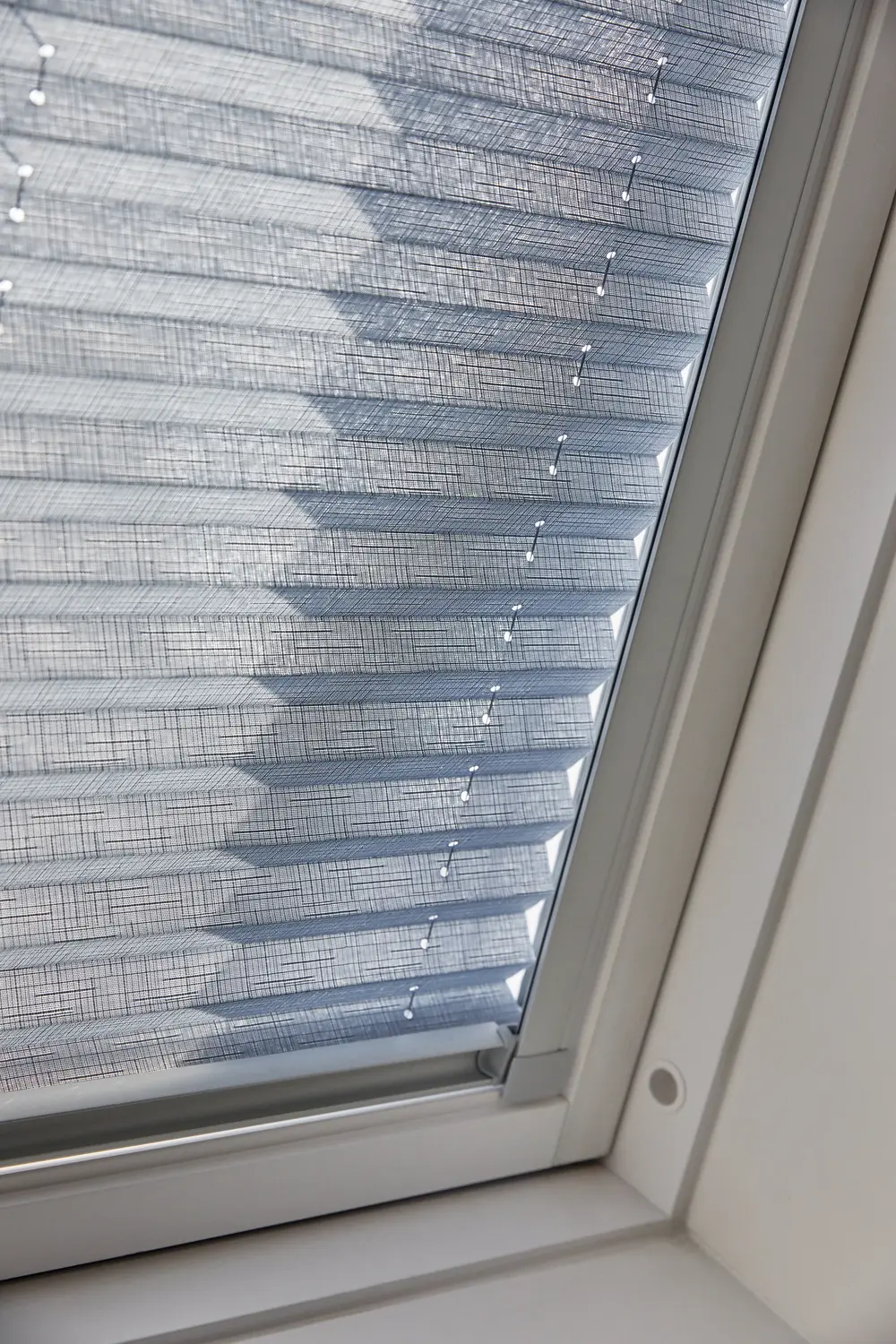 green screen sea tex