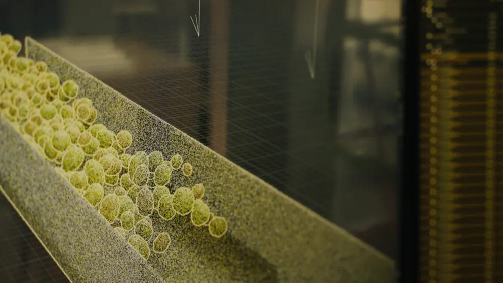 Gentse start-up Polysense 1