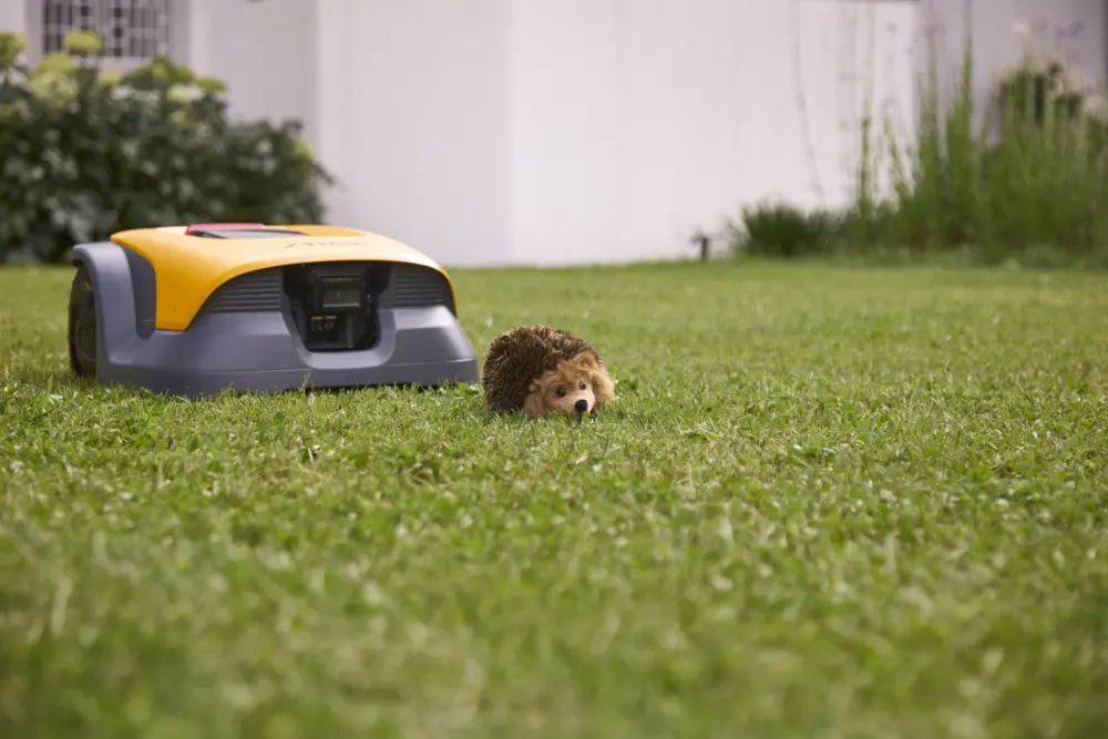 Robotmaaier egel