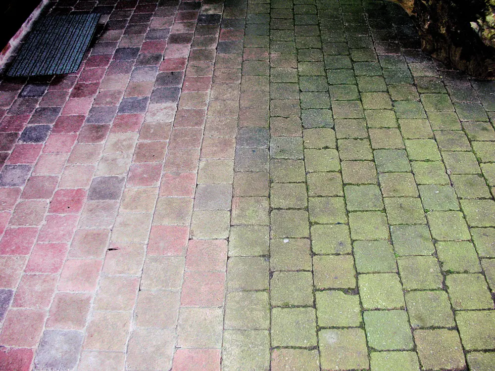 Groene aanslag afbeelding