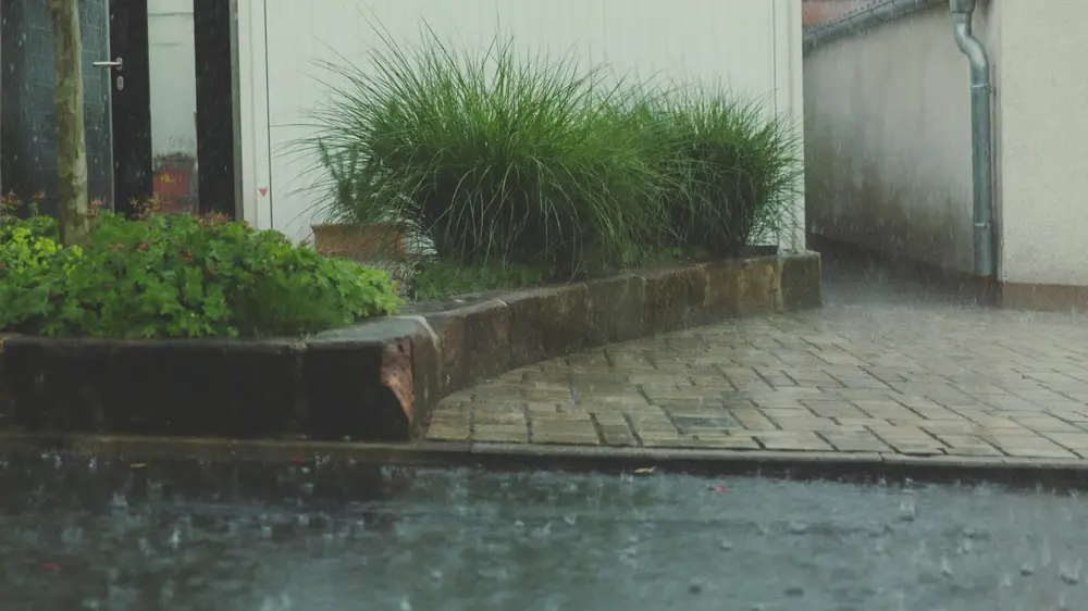 regenwater verordening