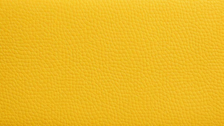 Kleur 3 Gekleurde Sneaker