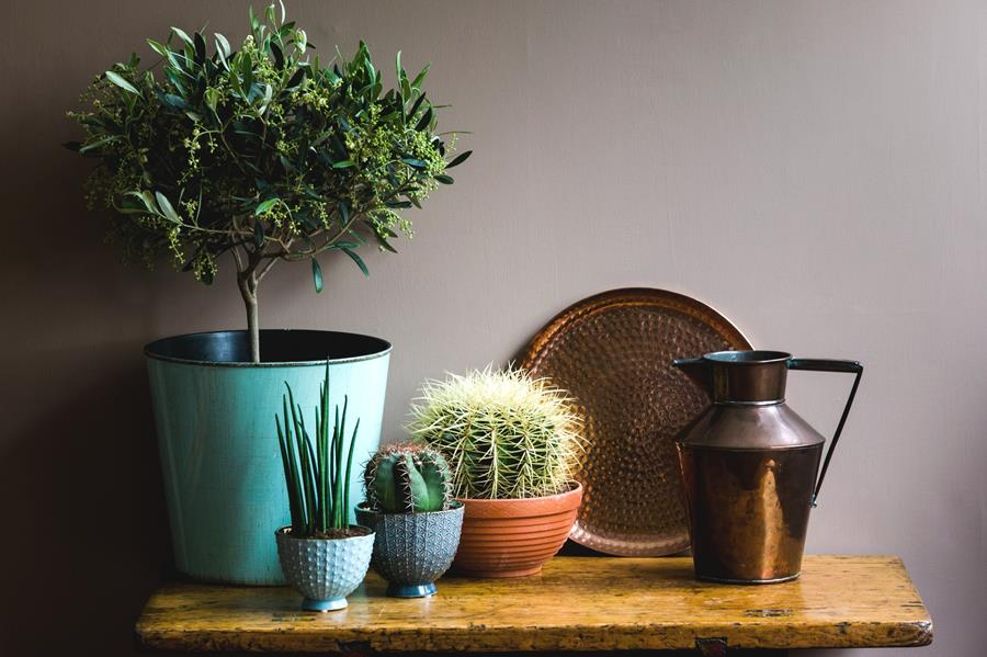 natuurverf innovatie