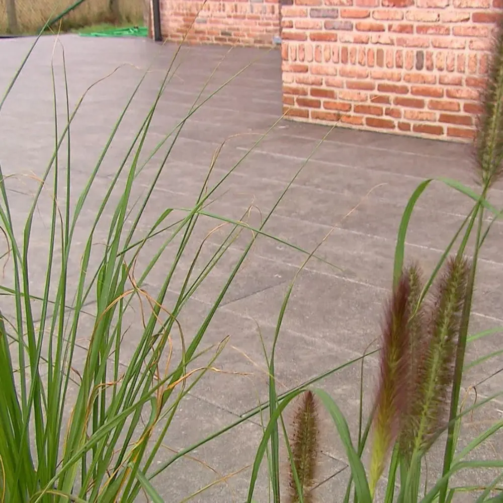 regels terras kopfoto