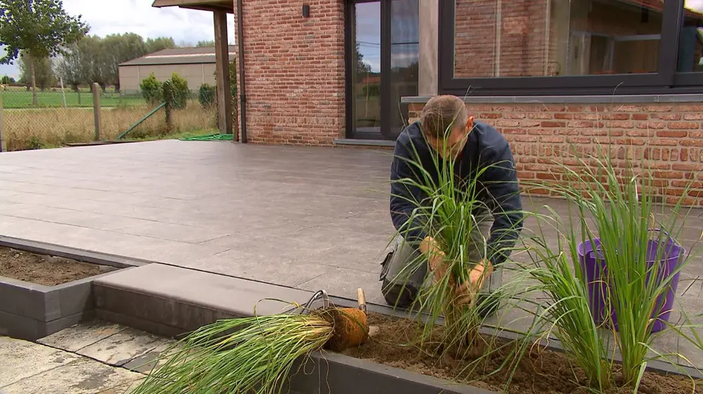 sierplanten terras met trap