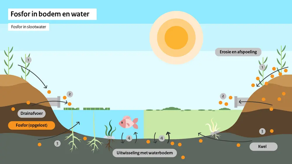 Fosfor in bodem en water