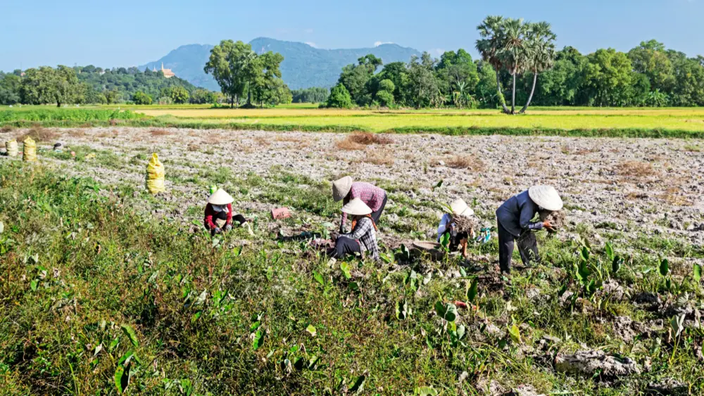 Wat betekent de Mercosur-deal 4