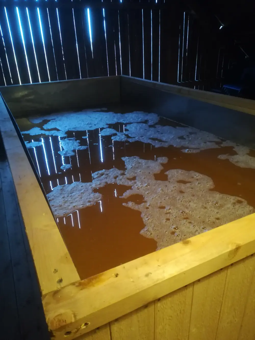 De rol van micro-organismen2