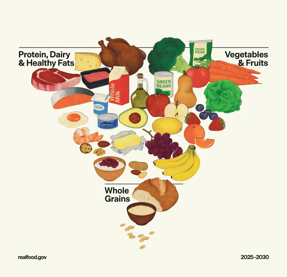 voedingspiramide Kennedy