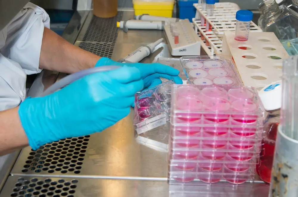 Kankeroverleving op zijn hoogst