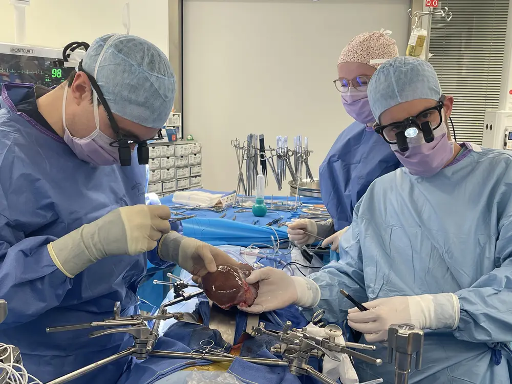 Greffe foie première mondiale