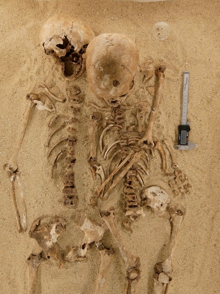 squelettes des Romito