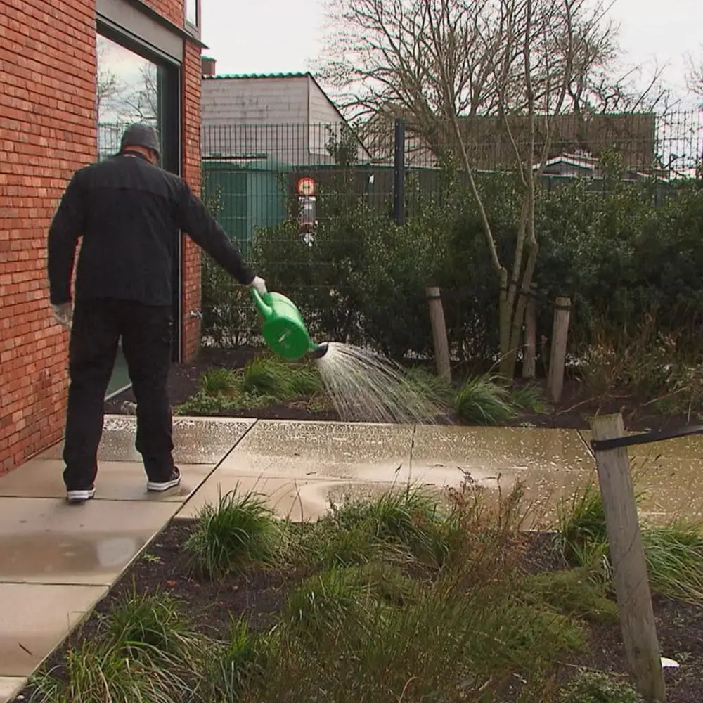 stenen terras onderhouden