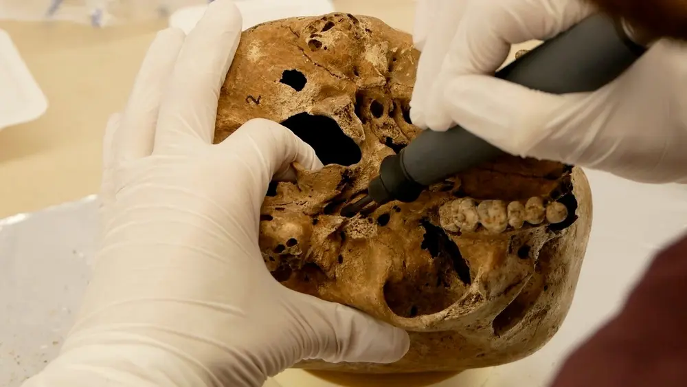 Romito extraction ADN