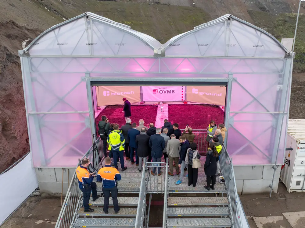 PFAS uit de grond met hennep