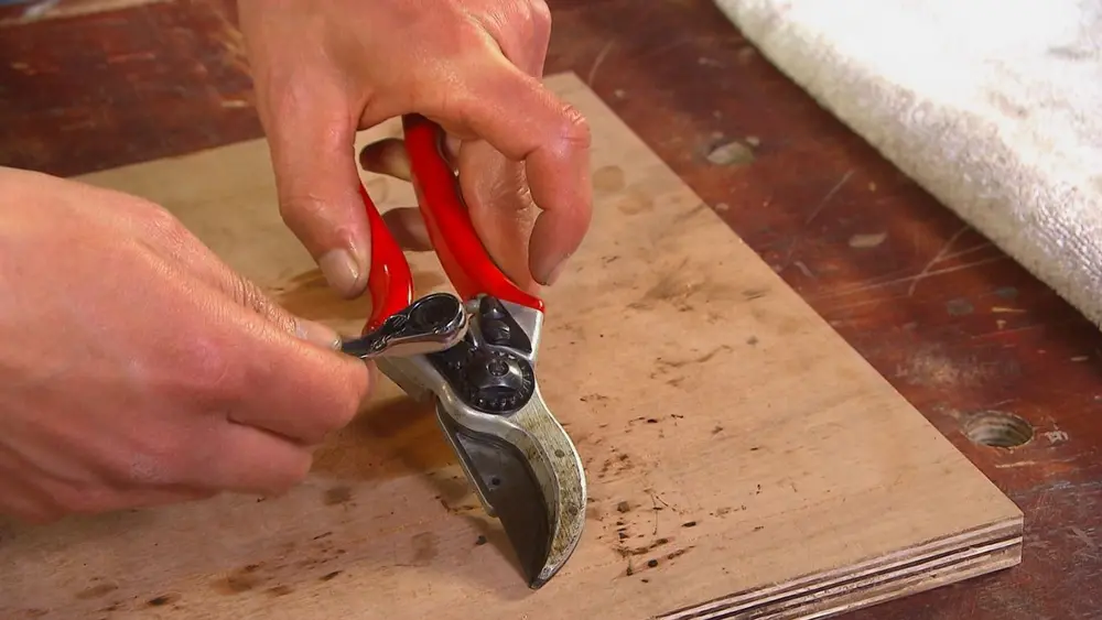 snoeigereedschap onderhoud