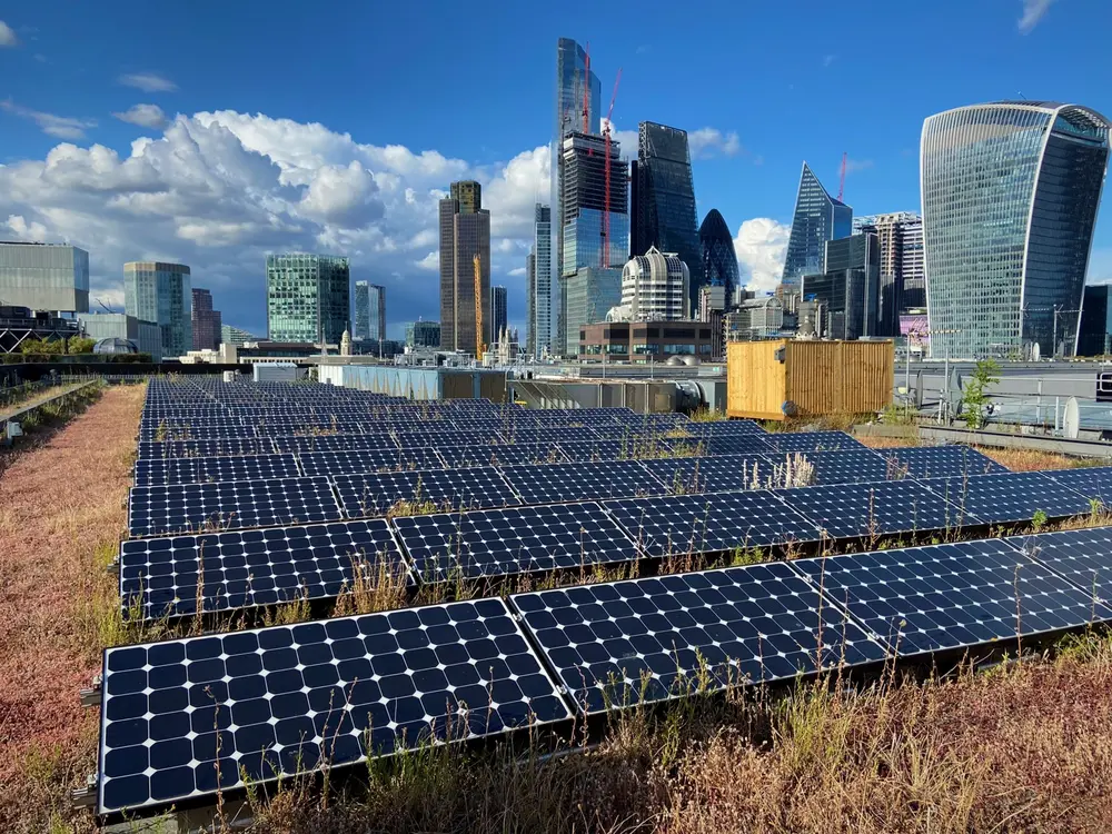Combinatie van PV Panelen en groendak op kantoren van Nomura in Londen City – copyright Wim Garmyn: Studies tonen aan dat pv-panelen op een groendak beter presteren omdat de beplanting zorgt voor het afkoelen van de lucht rond de panelen.