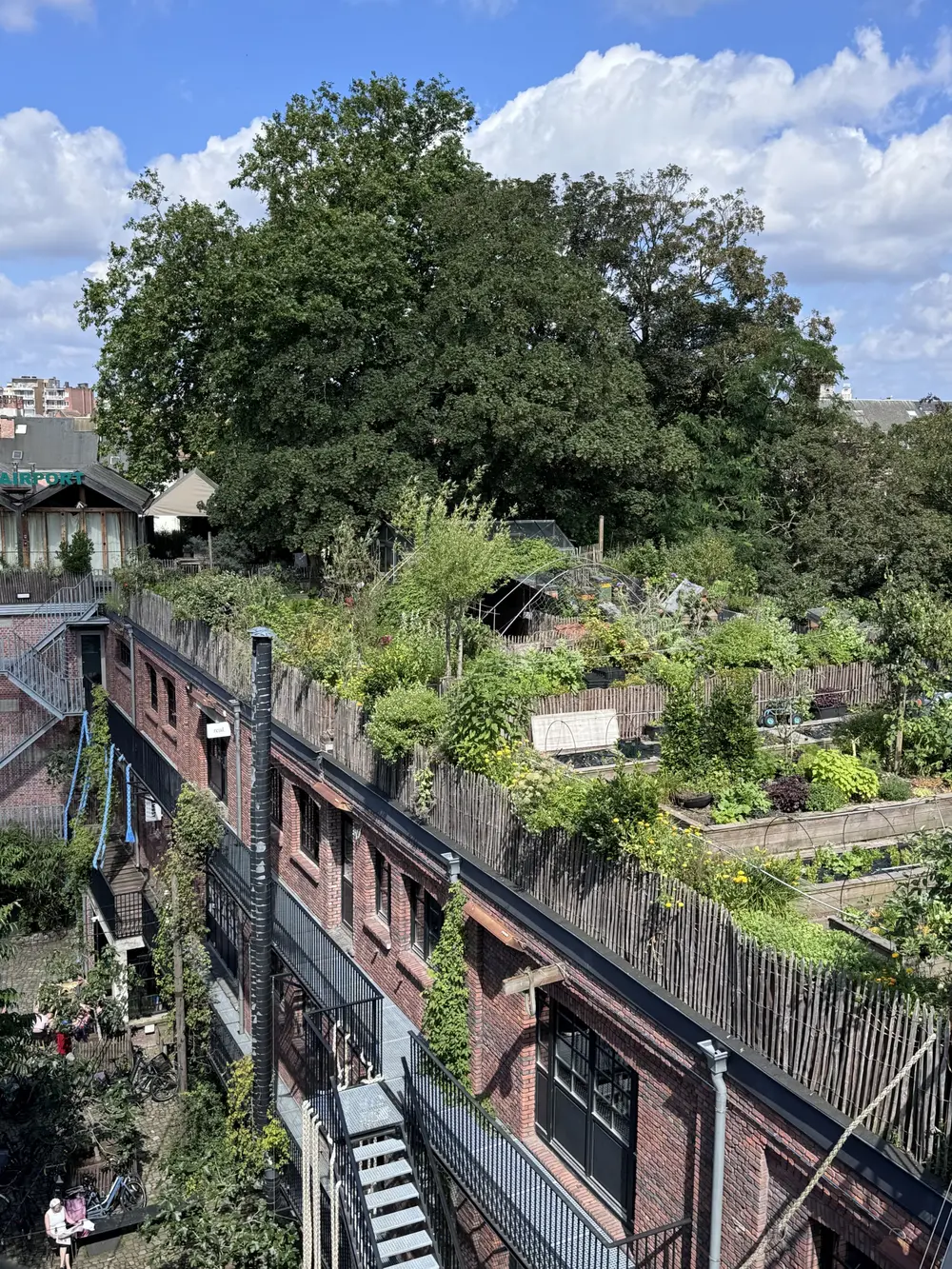 Dakboerderij ’t PAKT, Groen Kwartier Antwerpen – copyright Wim Garmyn: De stadsboerderij van ’t PAKT op het Groen Kwartier in Antwerpen helpt het hitte-eilandeffect in de dicht bebouwde omgeving van het voormalige militair hospitaal terugdringen.