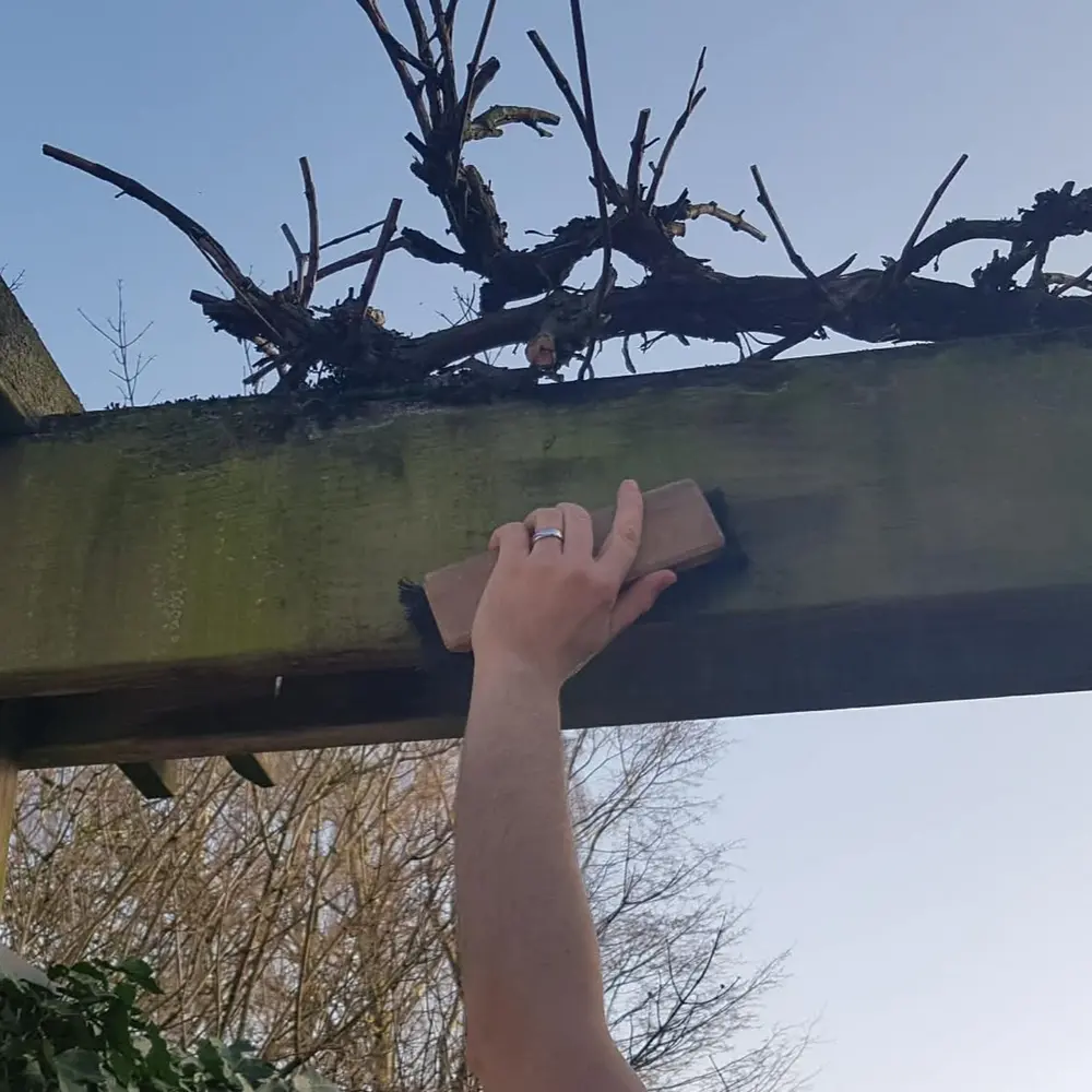 kopfoto onderhoud overkapping