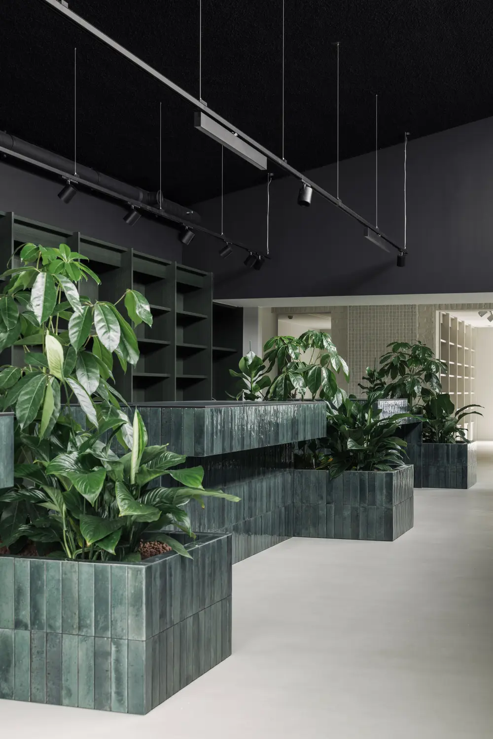 Balies apotheek Melsen