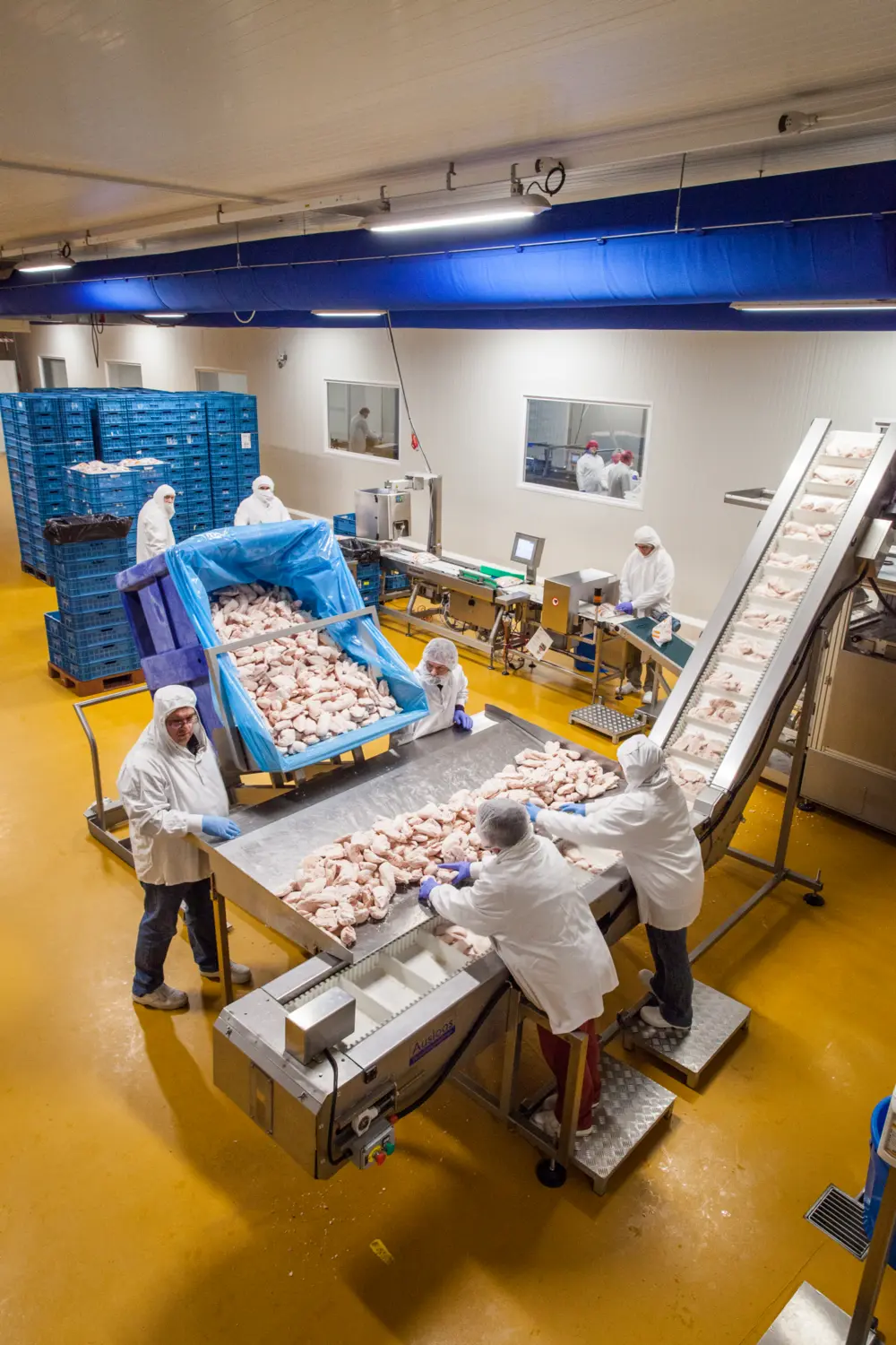 troef in diepvriesverpakking1